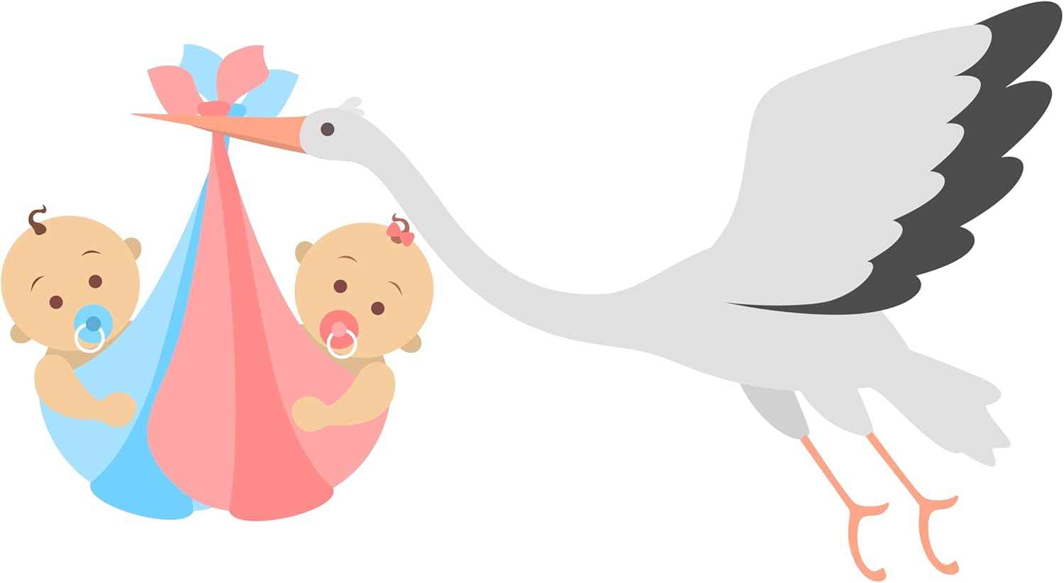 Cassava Twins Baby Boy Formula with Cassava Fertility Booster for Men