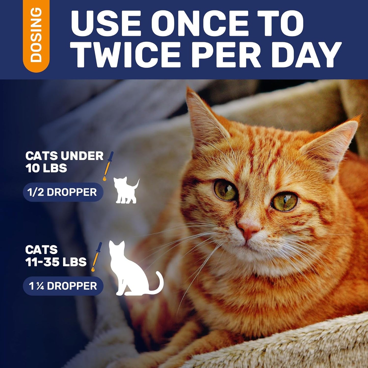 Cat Antibiotic Drops with Natural Turkey Flavor - Effective for Infections, Cough, UTIs, Allergies - Supports Hips & Joints - All Ages & Breeds - 2 Oz