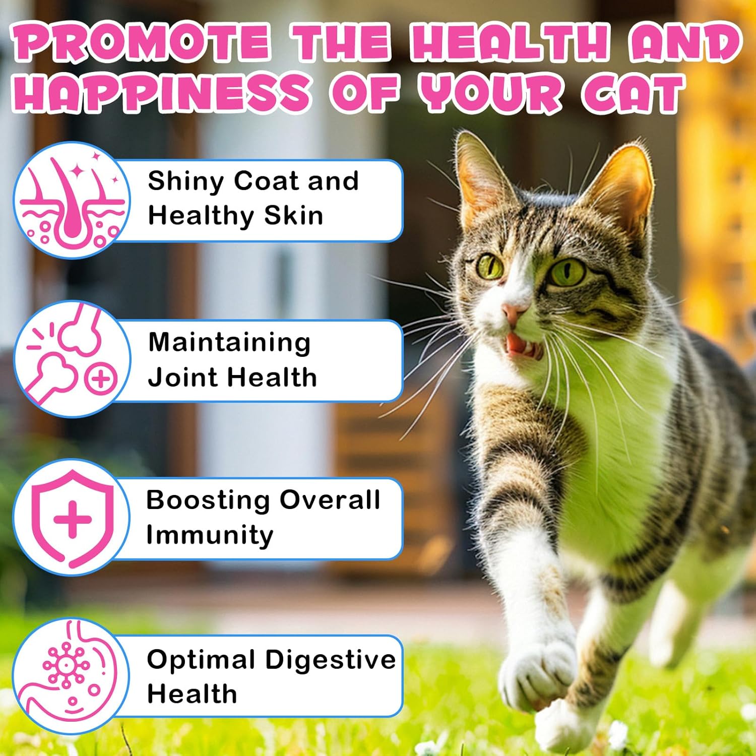 Cat Collagen Liquid Drops with Biotin, MSM & Ginger for Digestive & Immunity Support, Itch Relief, Skin & Coat, Joint Health - 60ml Supplement