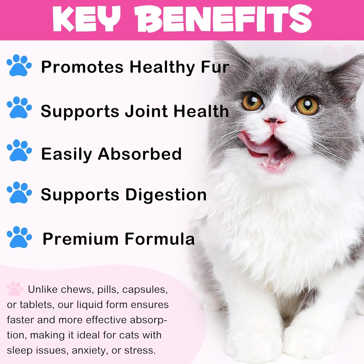 Cat Collagen Liquid Drops with Biotin, MSM & Ginger for Digestive & Immunity Support, Itch Relief, Skin & Coat, Joint Health - 60ml Supplement