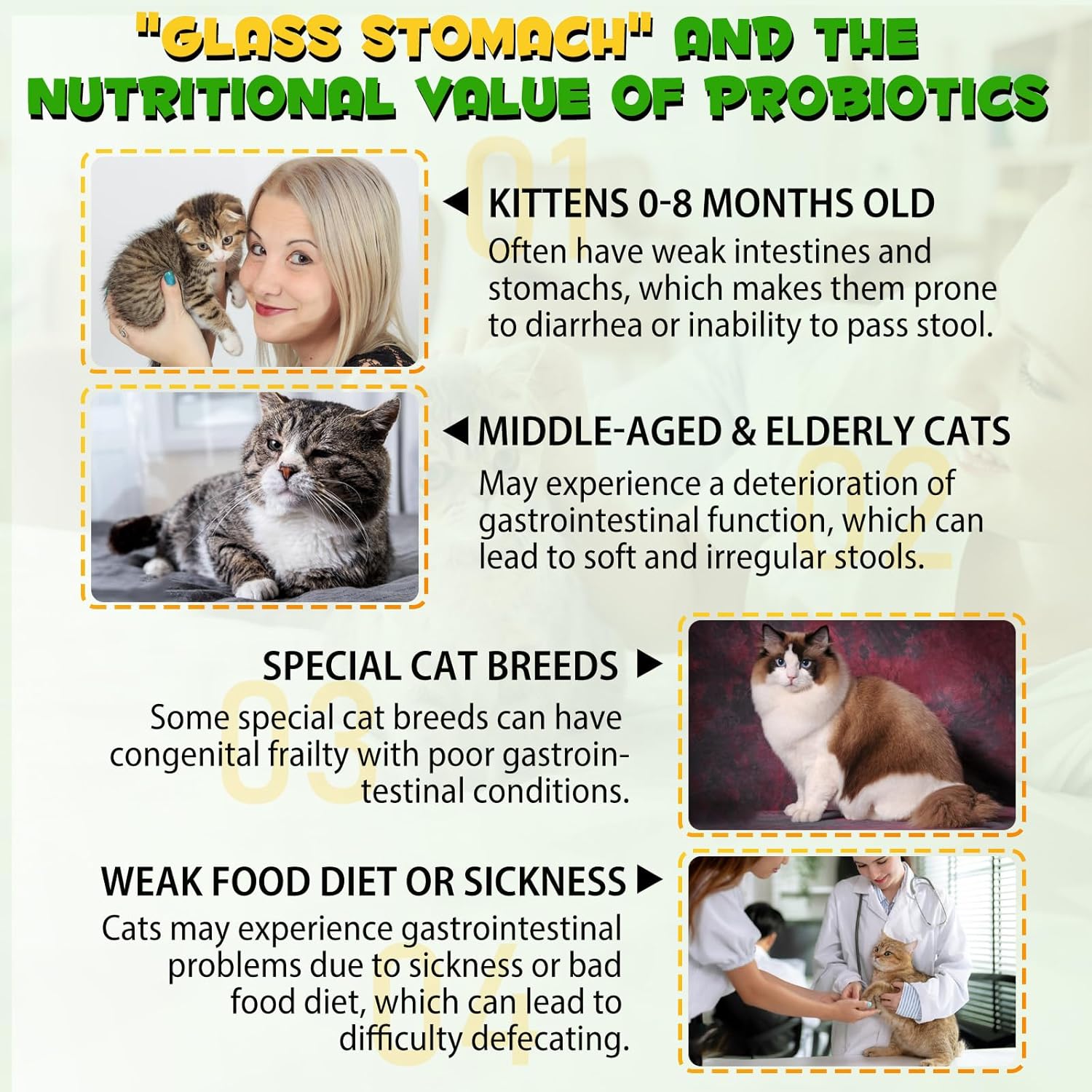 Cat Constipation Relief - 2 Fl Oz Laxative for Cats, Stool Softener for Digestive Health