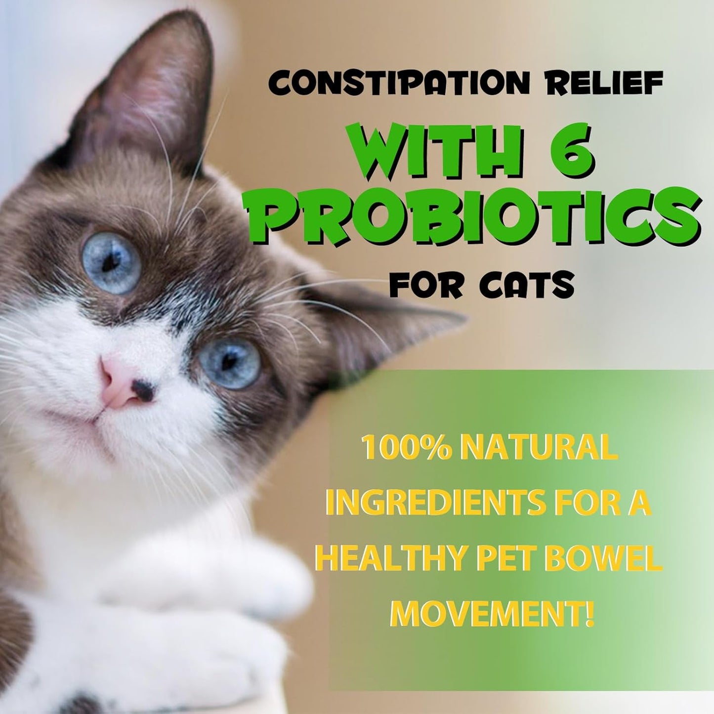 Cat Constipation Relief - 2 Fl Oz Laxative for Cats, Stool Softener for Digestive Health