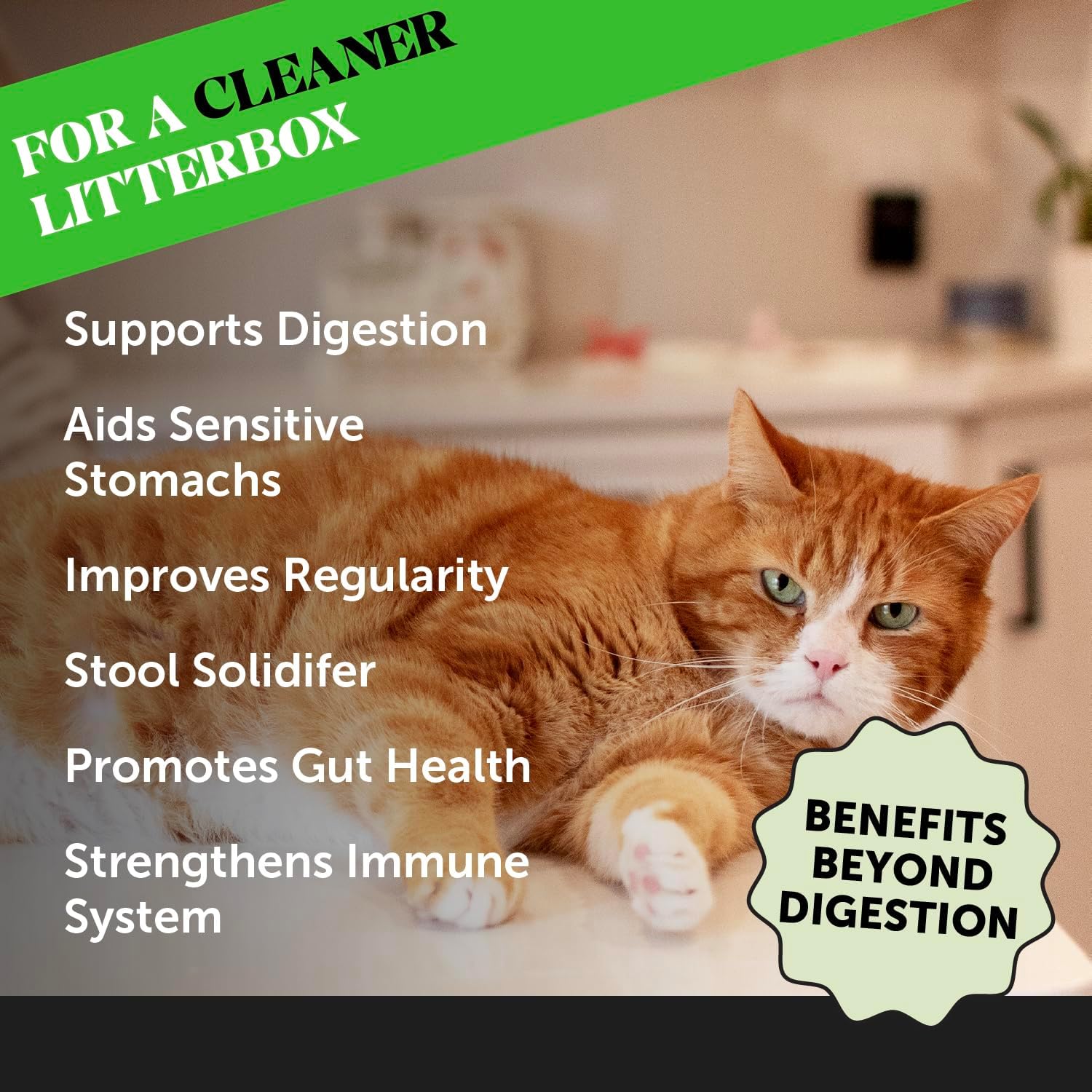 Cat Probiotic Powder Supplement for Digestive Support, Gut Health, and Immunity - 120 Scoops