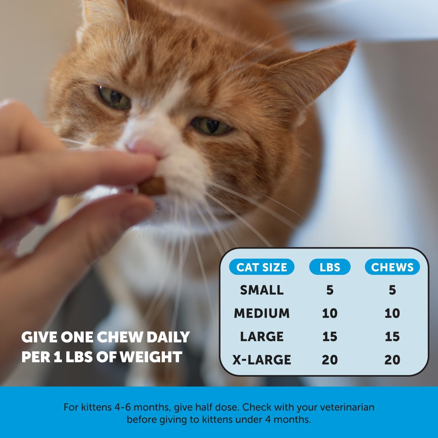 Cat Skin & Coat Health Chews with Omegas, Vitamin C, E, Biotin - Promotes Shiny Coat, Soothes Skin, Chicken Flavor