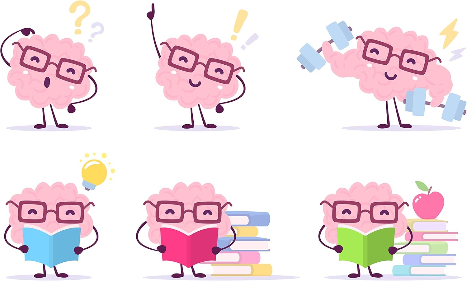 Cedar Bear Brain Booster Liquid Herbal Supplement for Memory and Vitality Support - 1 fl oz