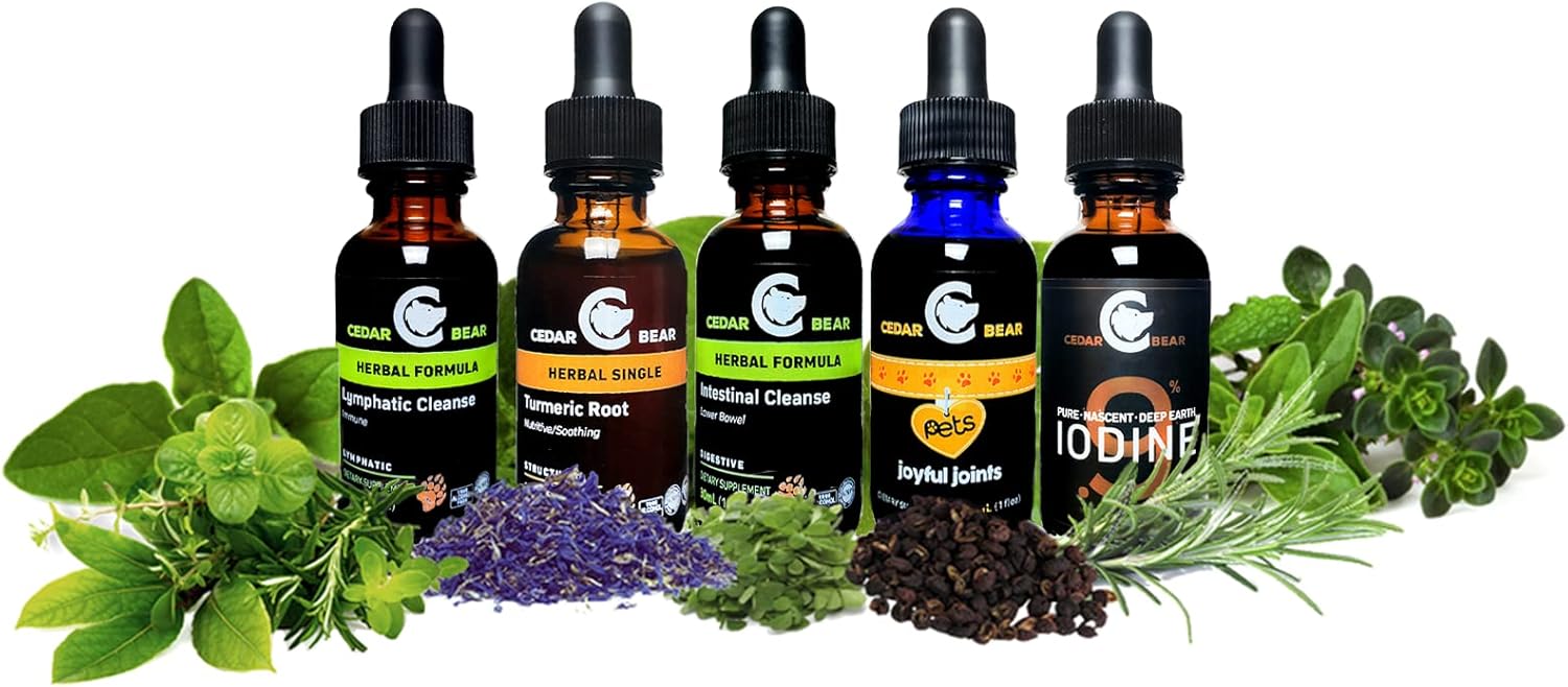 Cedar Bear Naturales Echinacea Super Immune Blend Liquid Supplement 1 Fl Oz - Boost Immune System & Support White Blood Cell Activity