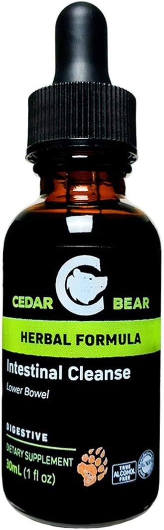 Cedar Bear Naturales Intestinal Cleanse Liquid Herbal Supplement for Digestive Health 1 Fl Oz