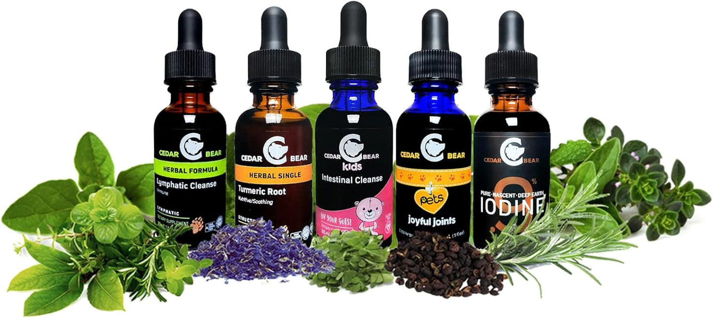 Cedar Bear Naturales Lymphatic Cleanse for Kids - Liquid Herbal Supplement for Healthy Lymphatic & Immune Function - 2 fl oz Pack