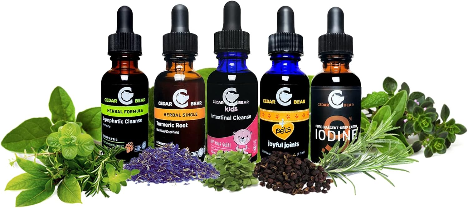 Cedar Bear Naturales Lymphatic Cleanse for Kids - Liquid Herbal Supplement for Healthy Lymphatic & Immune Function - 2 fl oz Pack