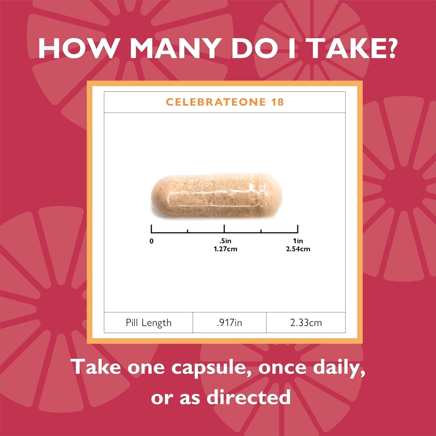 CelebrateONE Bariatric Multivitamin with 18mg Iron - Daily Supplement for Gastric Bypass & Sleeve Gastrectomy - 90 Capsules
