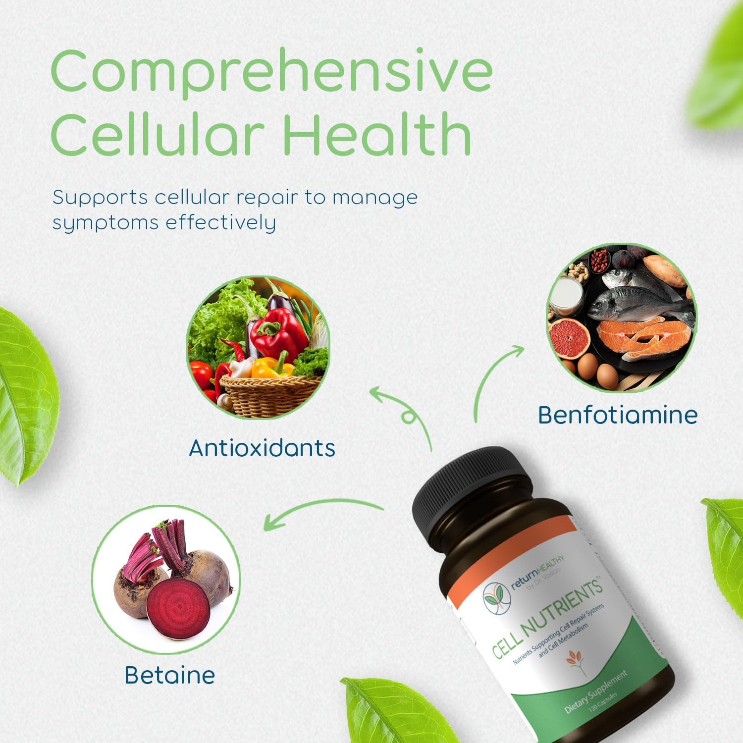 Cell Repair and Metabolism Support Supplement - Mitochondrial Health - Non-GMO, Vegan - 120 Capsules