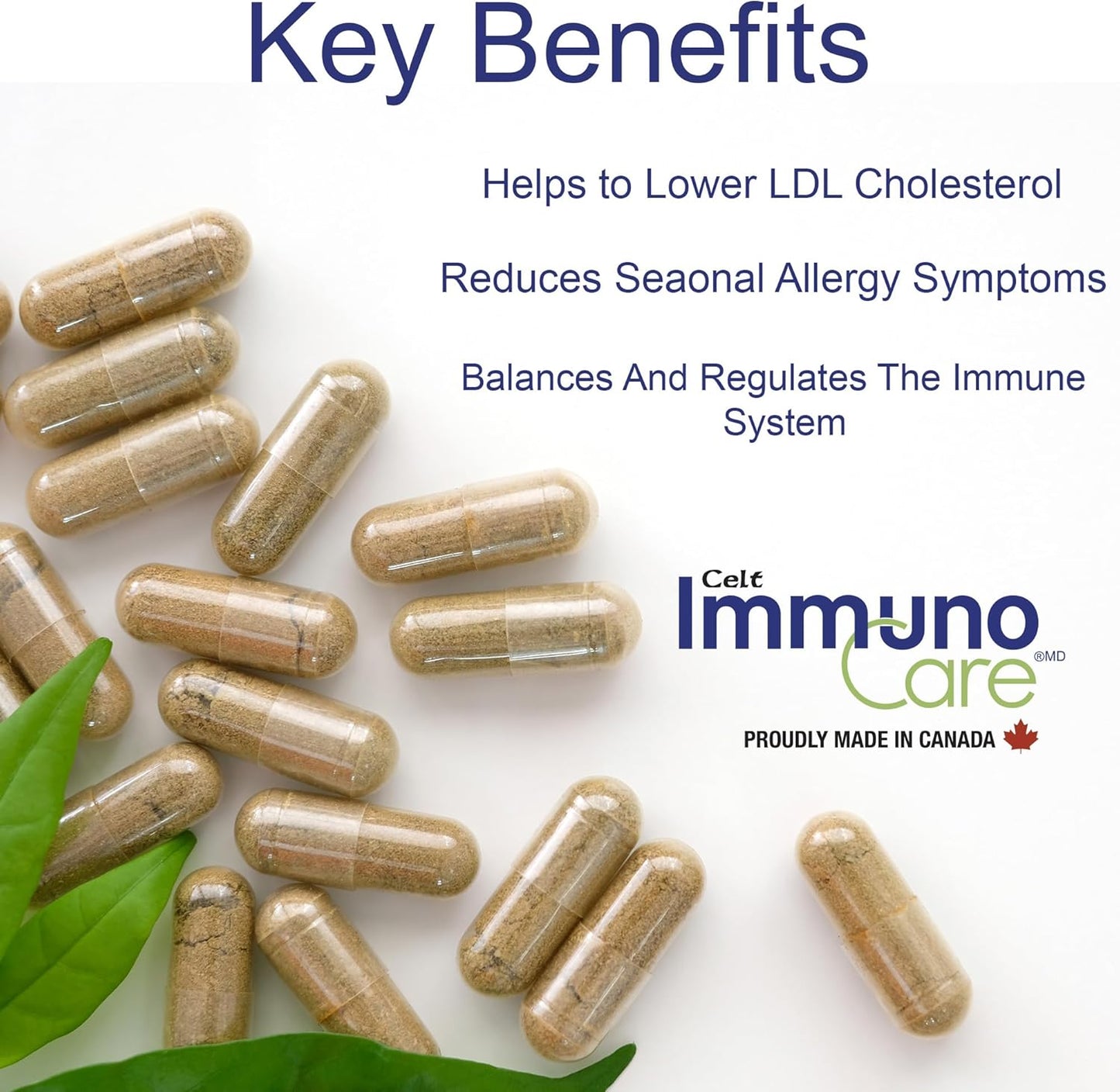Celt Immunocare 60 V-Caps - Powerful Seasonal Allergy Blend - Immunity Support for Adults - Cholesterol Regulator - Ultra Strength Plant Sterols - 7 Key Immune-Boosting Ingredients