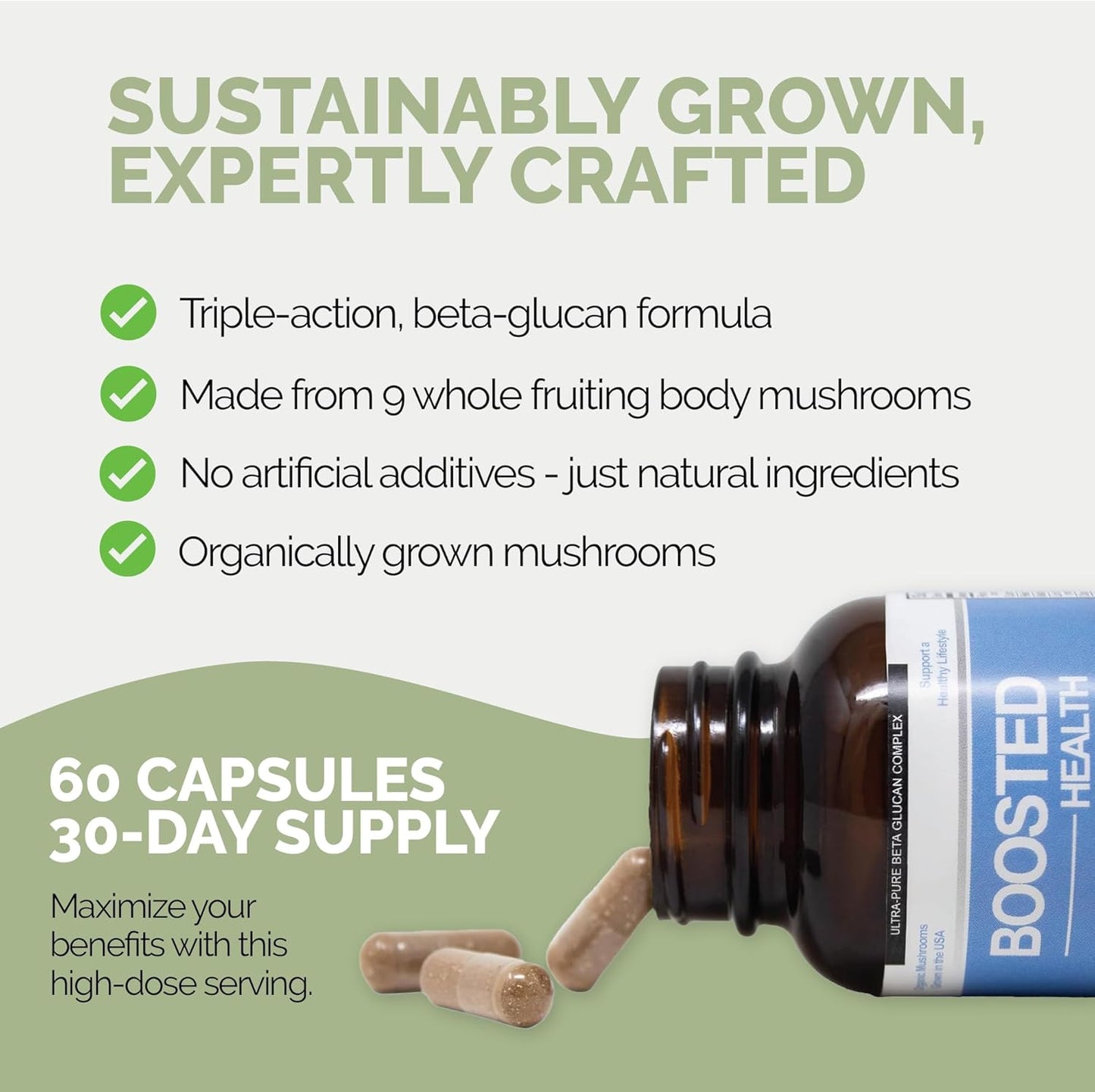 Certified Organic 9 Mushroom Complex Supplement for Immune Support, Memory, and Focus - Pacific Gold Boosted Health 60 Capsules