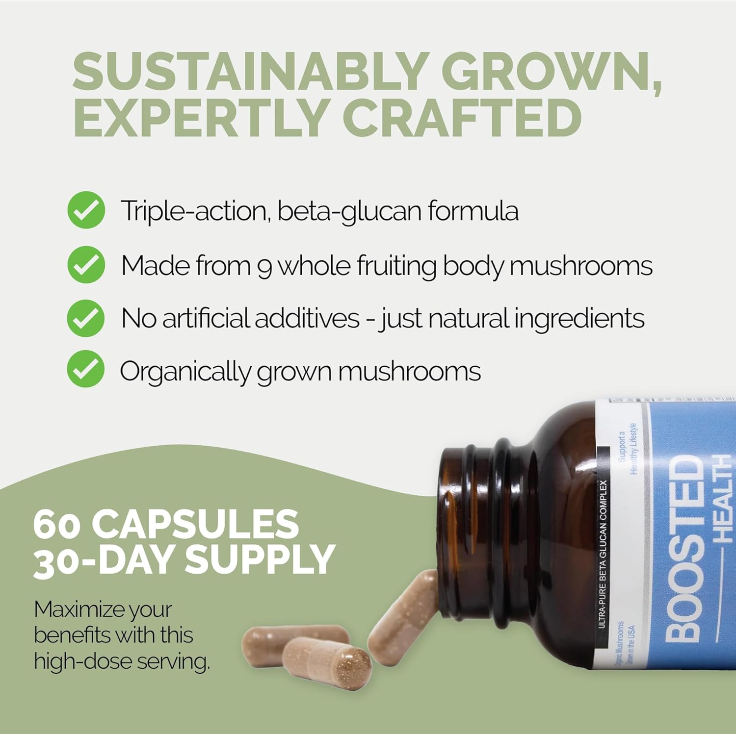 Certified Organic 9 Mushroom Complex Supplement for Immune Support, Memory, and Focus - Pacific Gold Boosted Health 60 Capsules