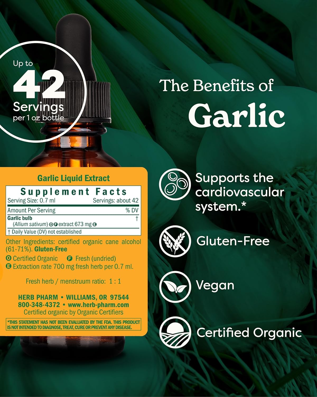 Certified Organic Garlic Liquid Extract for Cardiovascular and Circulatory Support - 1 oz - Herb Pharm