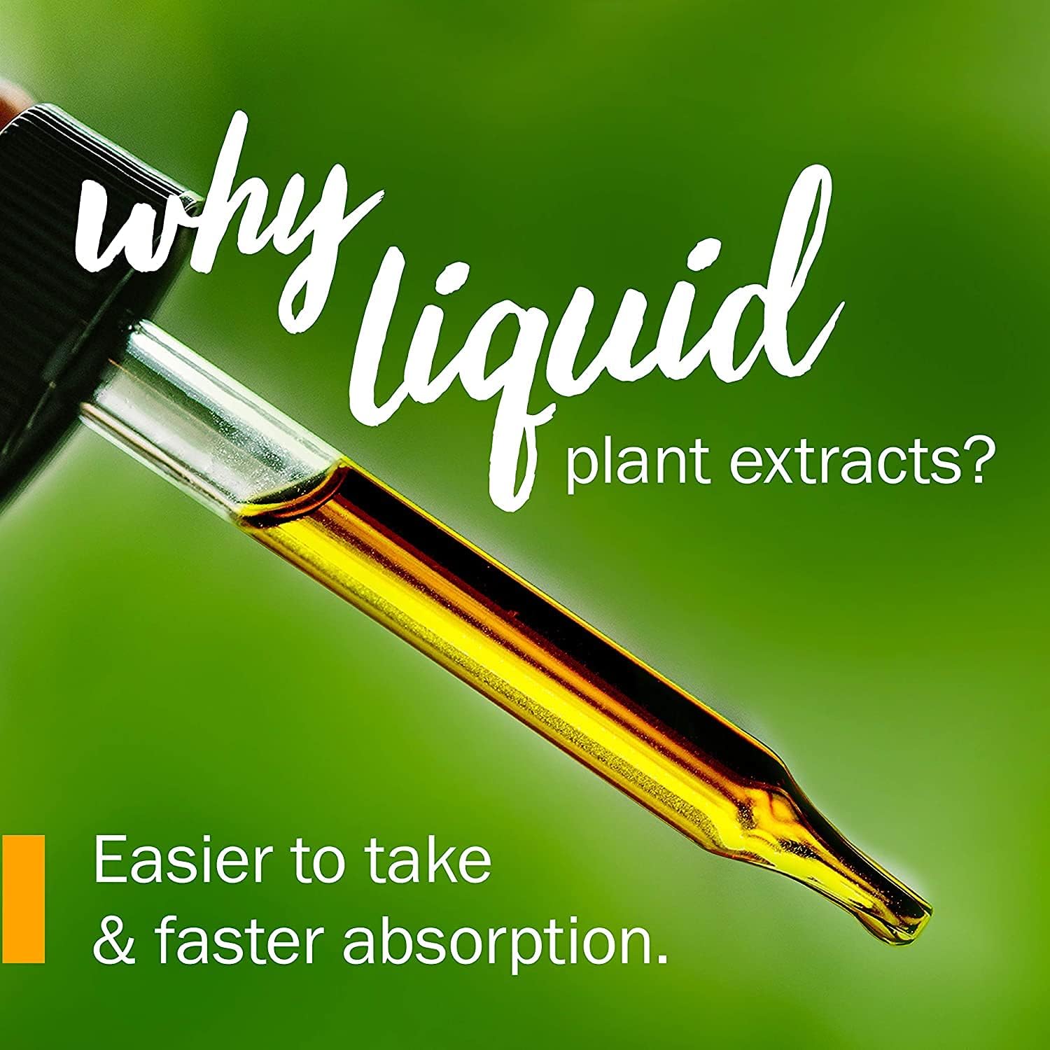 Certified Organic Hyssop Liquid Extract by Herb Pharm - 1 Ounce Bottle