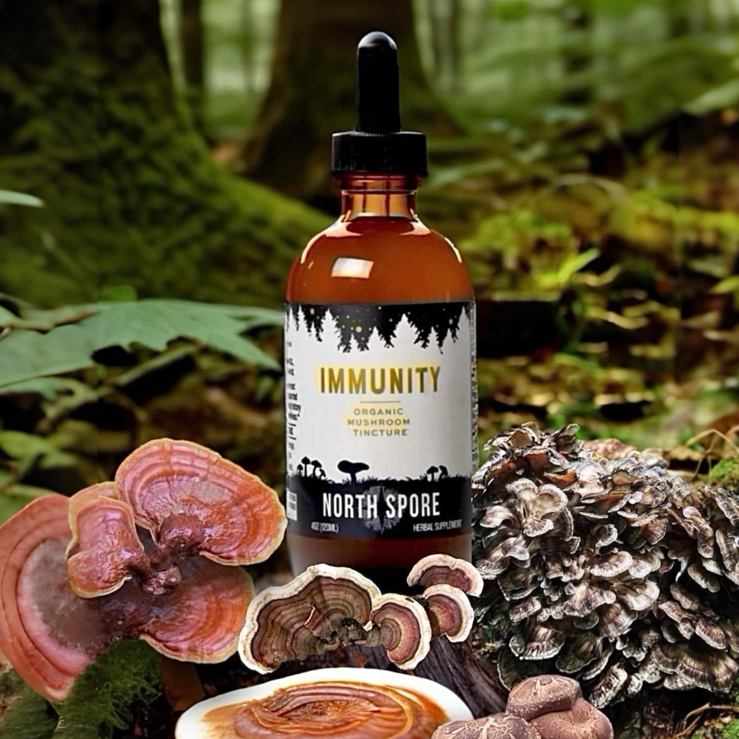 Certified Organic Immune Support Mushroom Tincture (2 oz) | Fruiting Body Extracts | Reishi, Chaga, Turkey Tail, Maitake, Shiitake | Vegan, Non-GMO | Made in USA