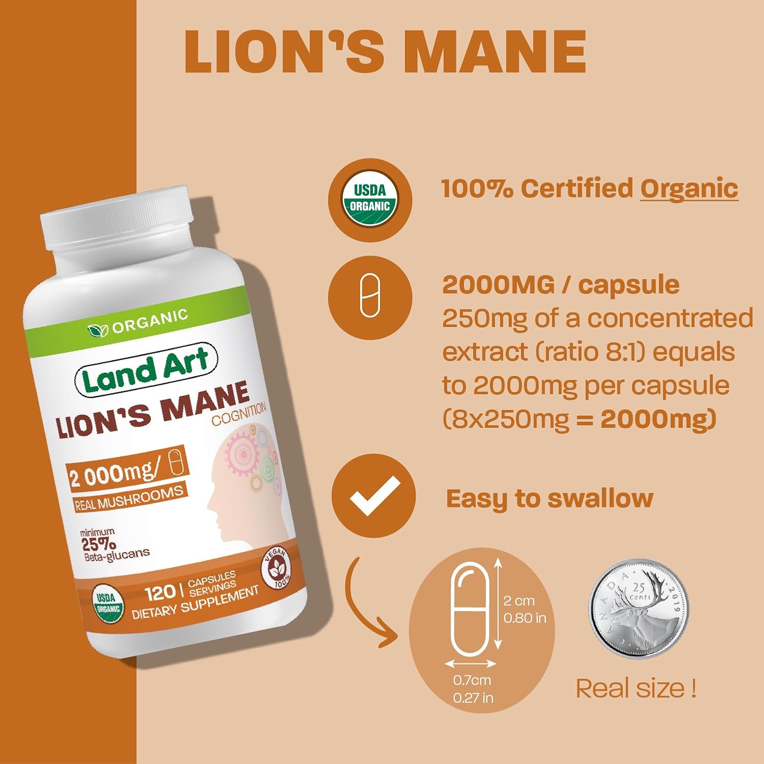 Certified Organic Lion's Mane Extract - 2000mg - 120 Days Supply - Cognitive Support & Mental Clarity - Multiple Extraction Formula