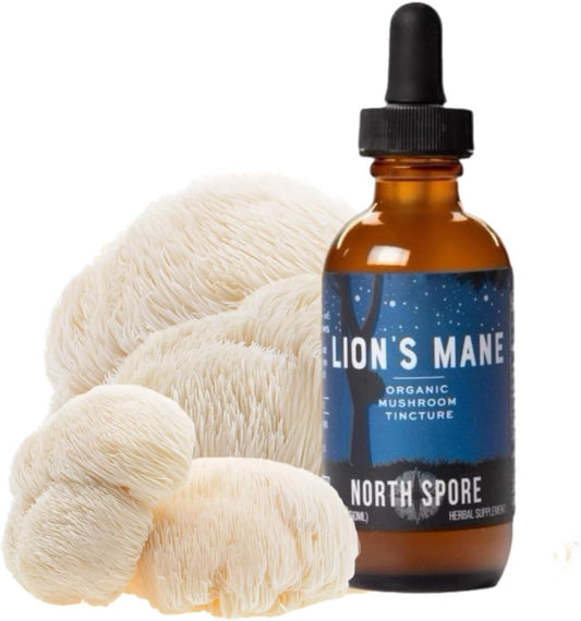 Certified Organic Lion's Mane Mushroom Tincture (2 oz) | USA-Made Fruiting Body Extract | Boost Focus & Memory | Vegan & Non-GMO | Adaptogenic Nootropic