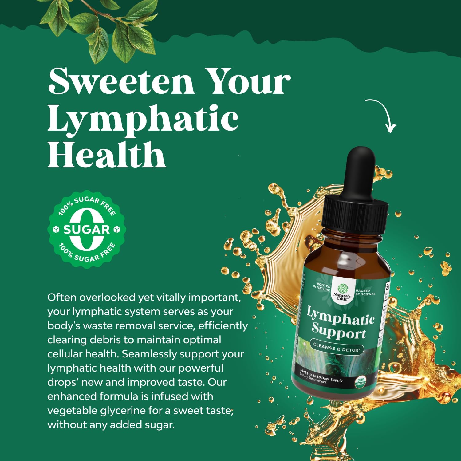 Certified Organic Lymphatic Drainage Drops with Echinacea and Goldenseal Extracts - Immune Support Supplement - Vegan and Non-GMO - 30 Servings