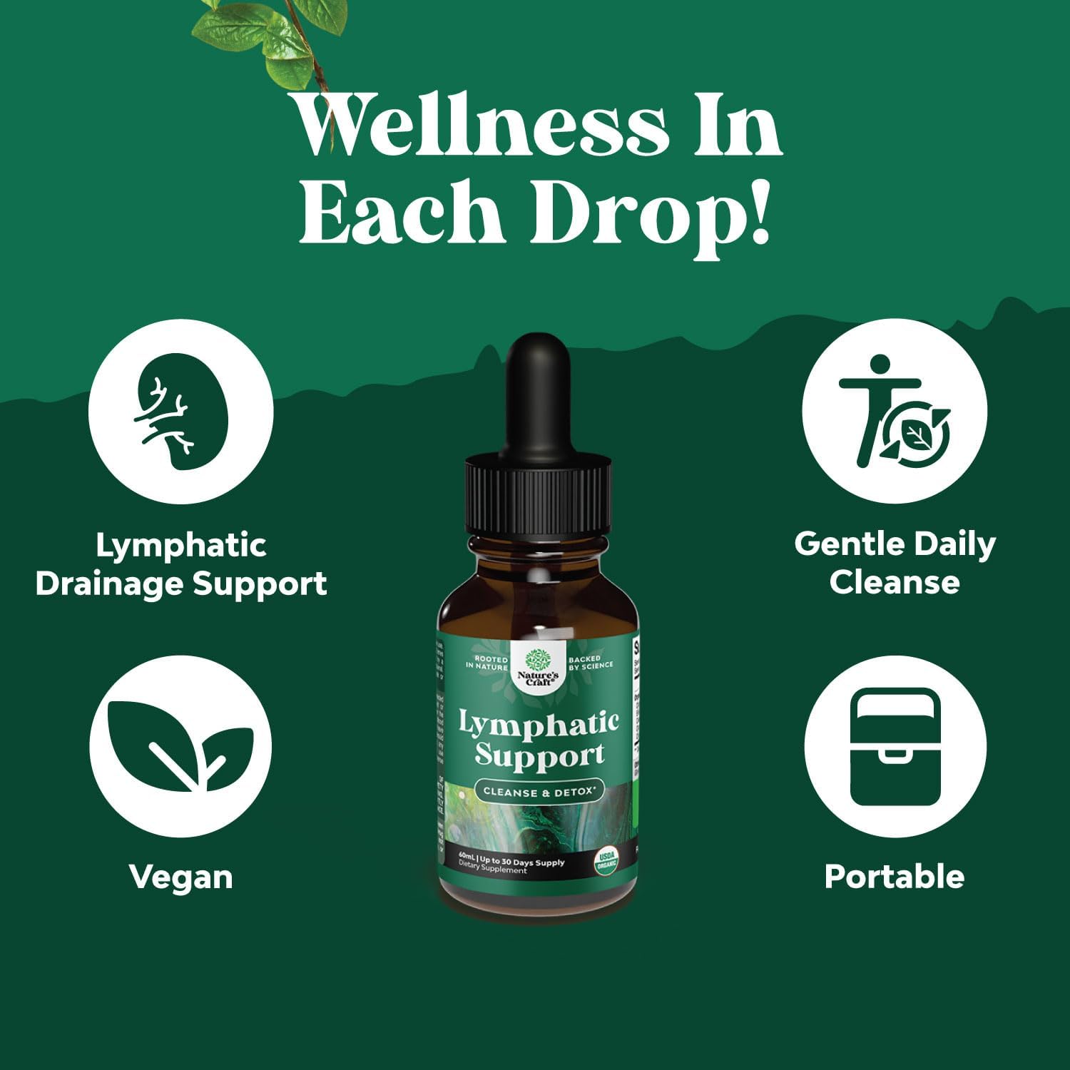 Certified Organic Lymphatic Drainage Drops with Echinacea and Goldenseal Extracts - Immune Support Supplement - Vegan and Non-GMO - 30 Servings