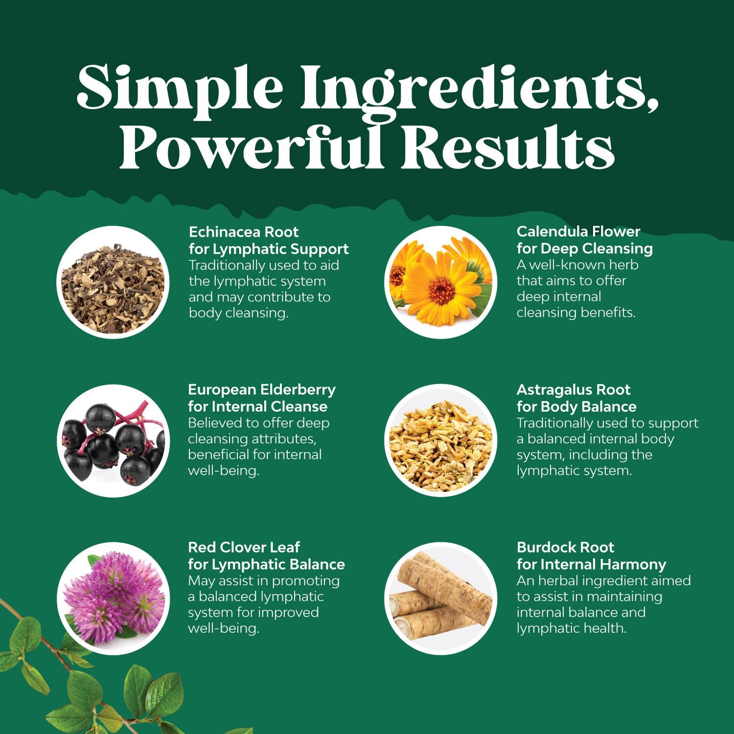 Certified Organic Lymphatic Drainage Drops with Echinacea and Goldenseal Extracts - Immune Support Supplement - Vegan and Non-GMO - 30 Servings