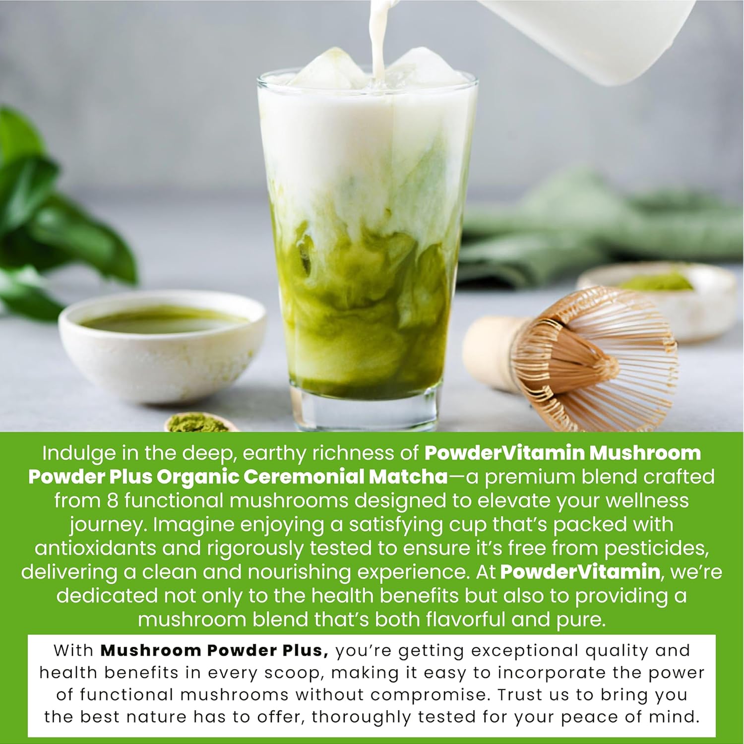 Certified Organic Mushroom Matcha Powder with Grass-Fed Collagen for Focus, Digestion, and Immunity - 30 Servings