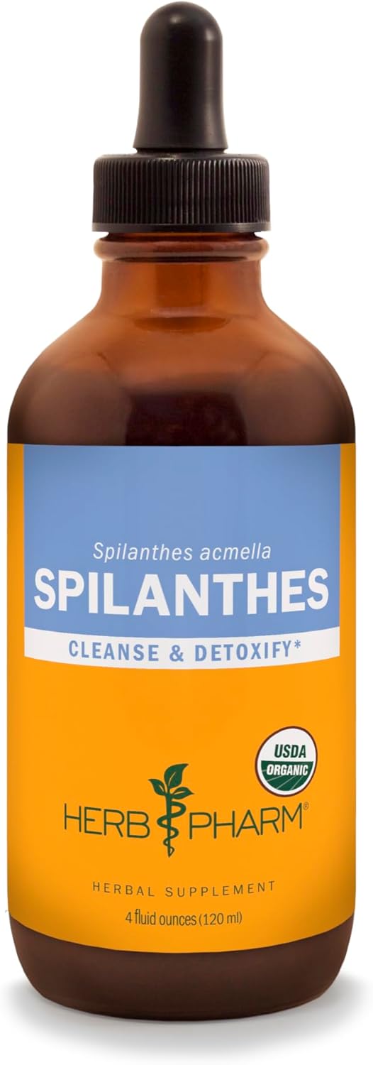Certified Organic Spilanthes Liquid Extract for Cleansing and Detoxification - 4 Ounce by Herb Pharm