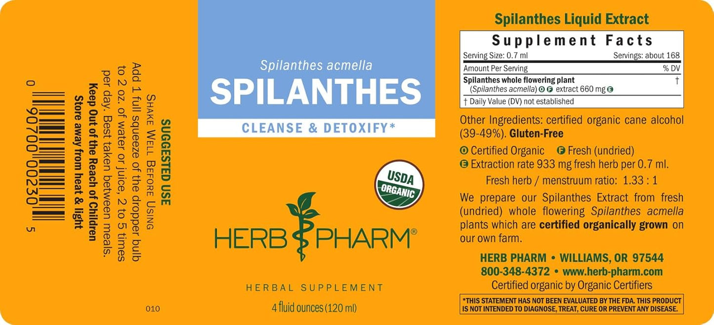 Certified Organic Spilanthes Liquid Extract for Cleansing and Detoxification - 4 Ounce by Herb Pharm