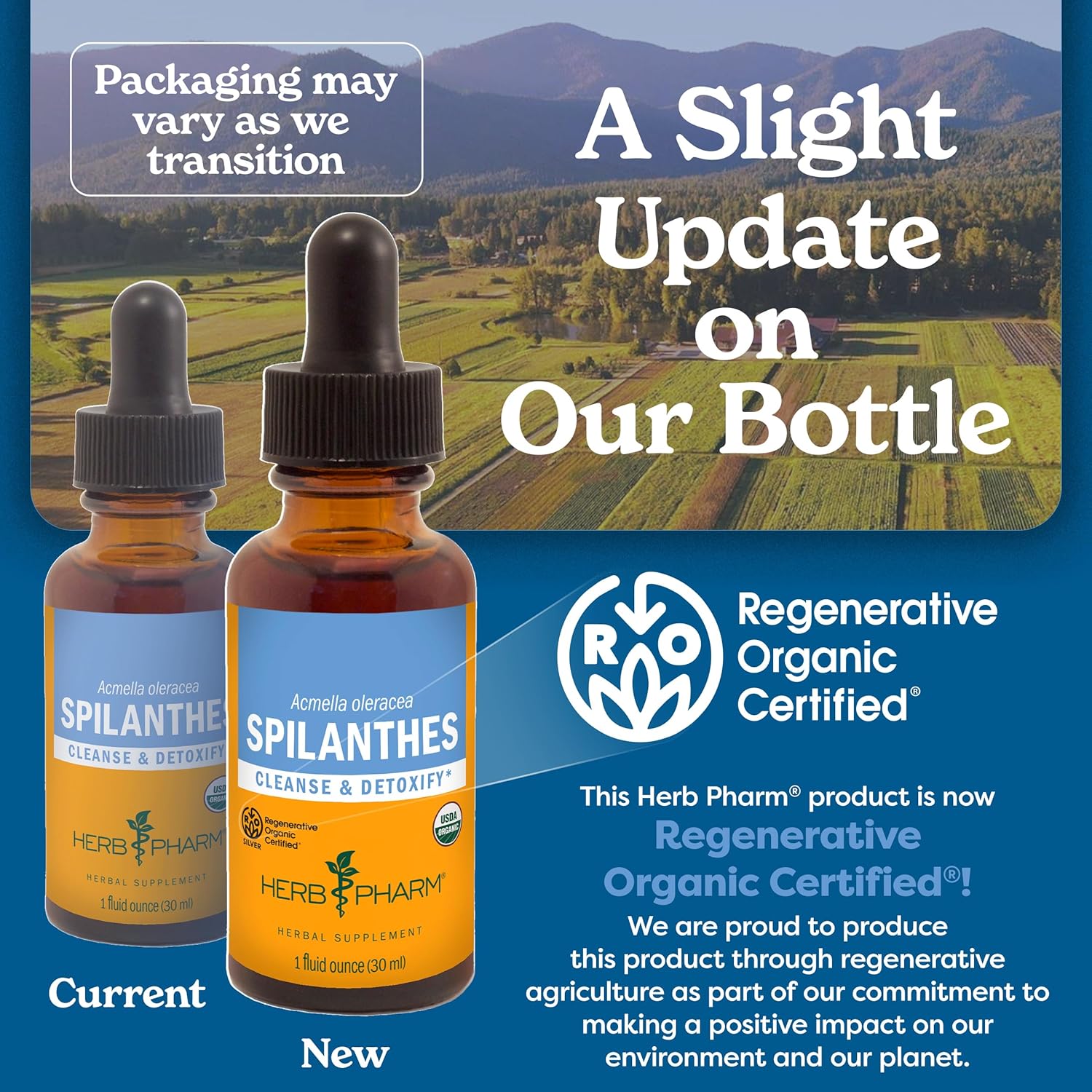 Certified Organic Spilanthes Liquid Extract for Cleansing and Detox - 1oz by Herb Pharm