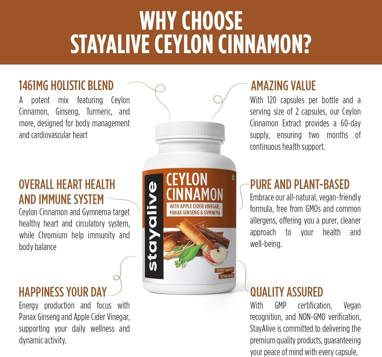Ceylon Cinnamon Capsules with Turmeric, Ginger, Apple Cider Vinegar, Ginseng, Gymnema, and Chromium - 120 Pills, Non-GMO & Gluten-Free Supplement