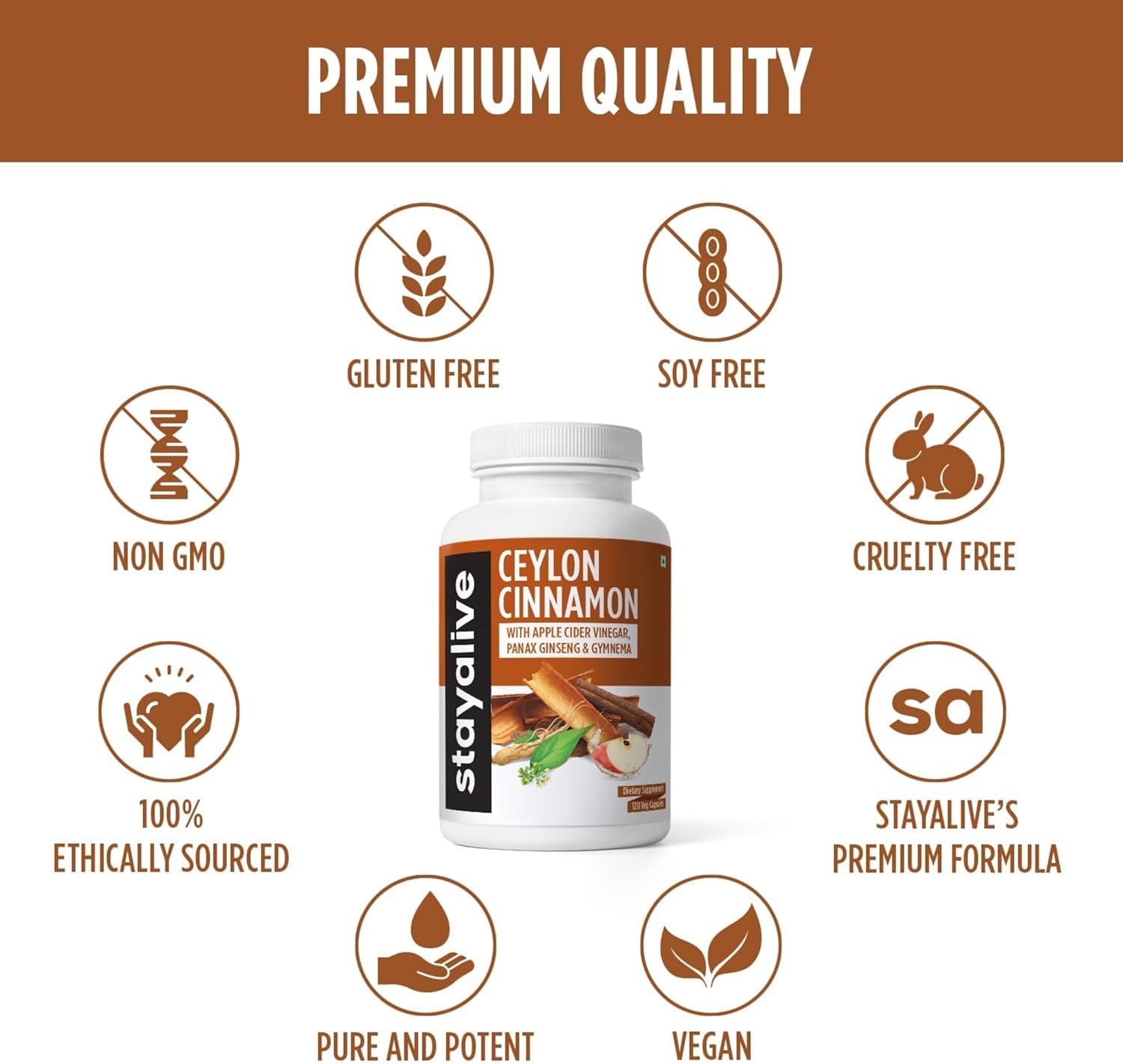 Ceylon Cinnamon Capsules with Turmeric, Ginger, Apple Cider Vinegar, Ginseng, Gymnema, and Chromium - 120 Pills, Non-GMO & Gluten-Free Supplement