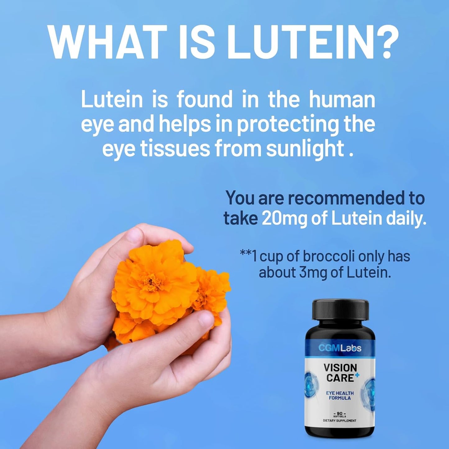 CGMLABS Vision Care Plus - Vision Support Supplement with Lutein, Zeaxanthin, Vitamin A, Bilberry - 90 Softgels