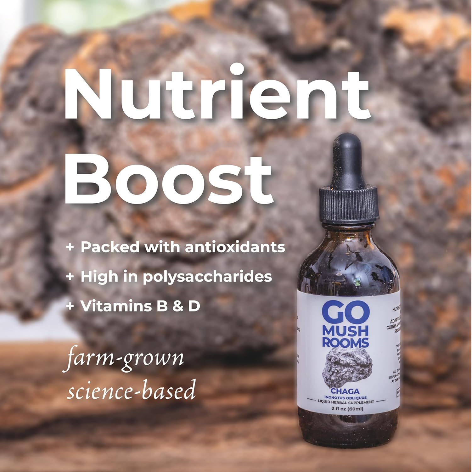 Chaga Mushroom Dual Extract Tincture - Immune System Support Supplement - Antioxidant Rich - 2 fl oz