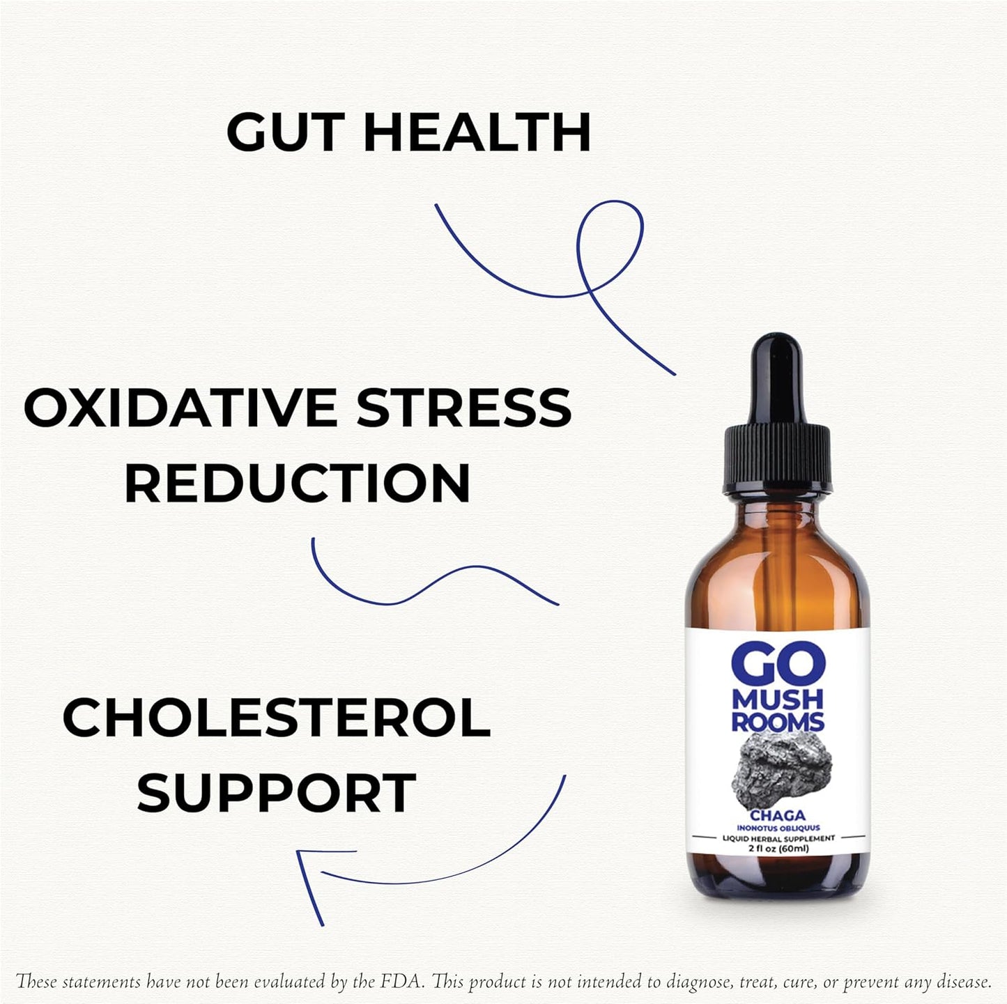 Chaga Mushroom Dual Extract Tincture - Immune System Support Supplement - Antioxidant Rich - 2 fl oz