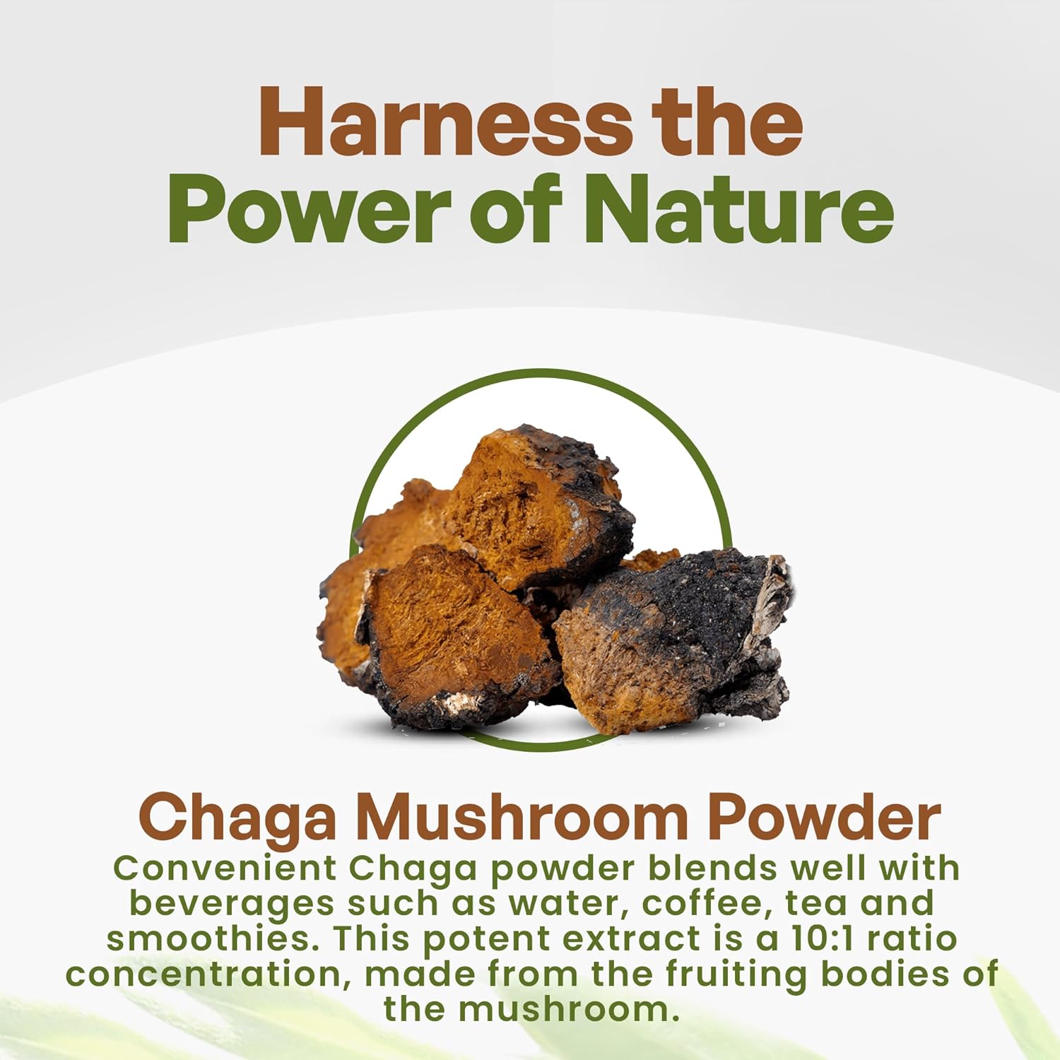 Chaga Mushroom Powder Extract 10:1 with 30% Polysaccharides - Superfood Supplement 8 oz.