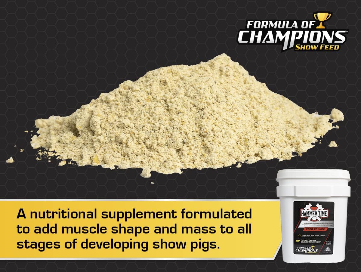 Champion Formula Hammer Time Nutritional Supplement for Show Pigs in 25 lb Bucket