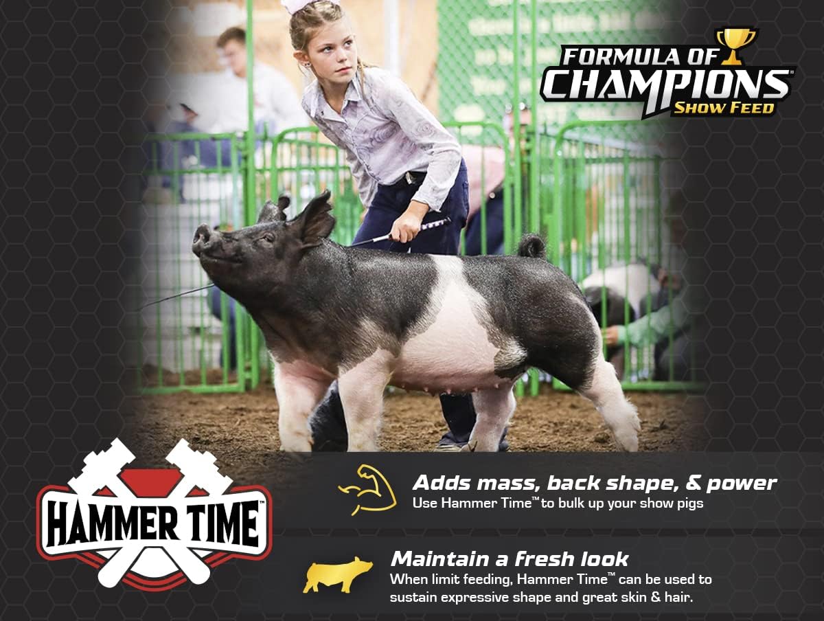 Champion Formula Hammer Time Nutritional Supplement for Show Pigs in 25 lb Bucket