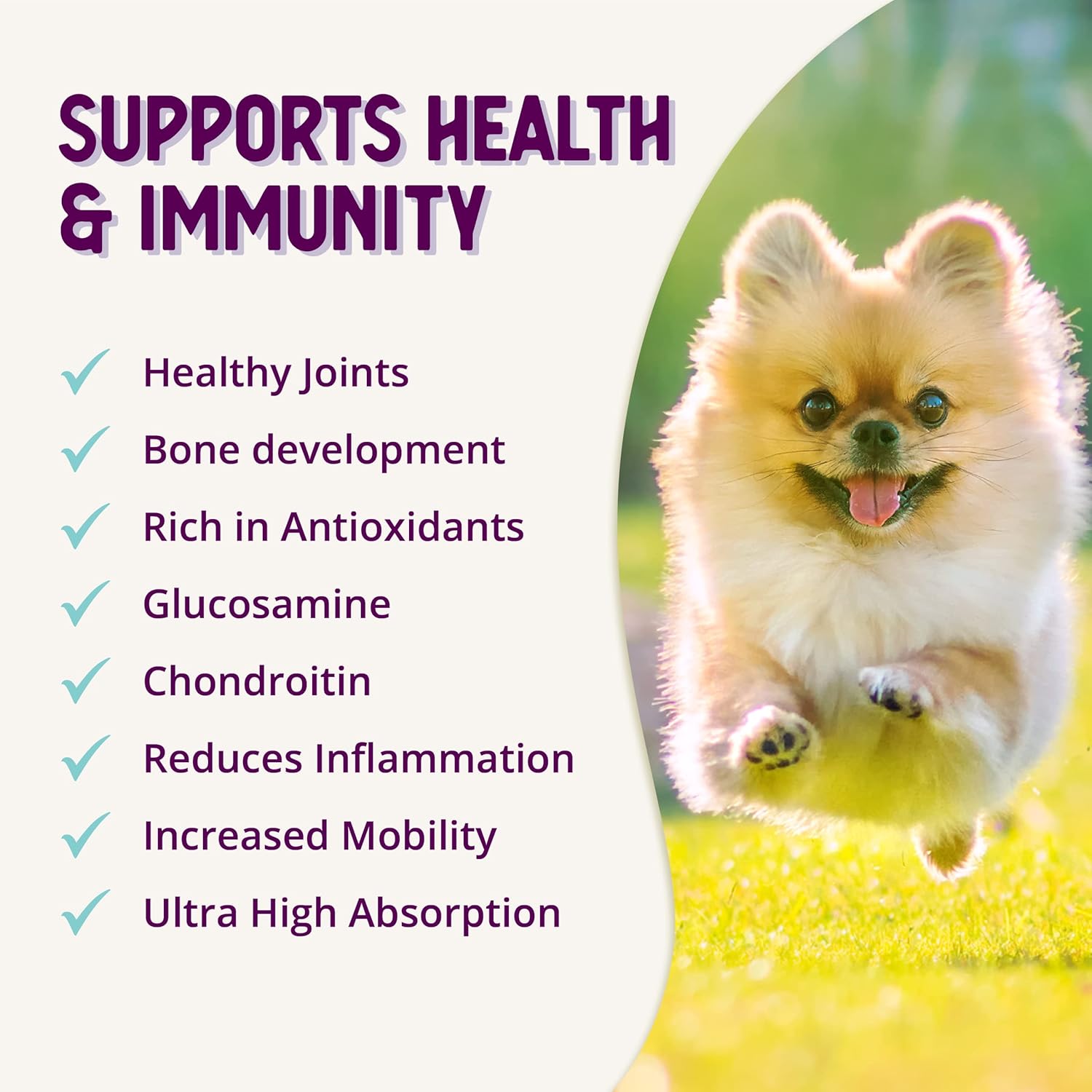 Cheese Flavored Dog Joint & Hip Supplement Powder with Chondroitin and Glucosamine for Arthritis Pain Relief - 8 Oz / 226 g