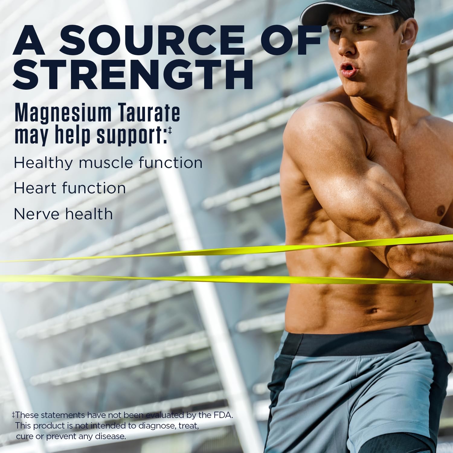 Chelated Magnesium Taurate with Vitamin B6 for Muscle and Heart Health, High Absorption Complex, Vegan, Gluten-Free - 120 Tablets