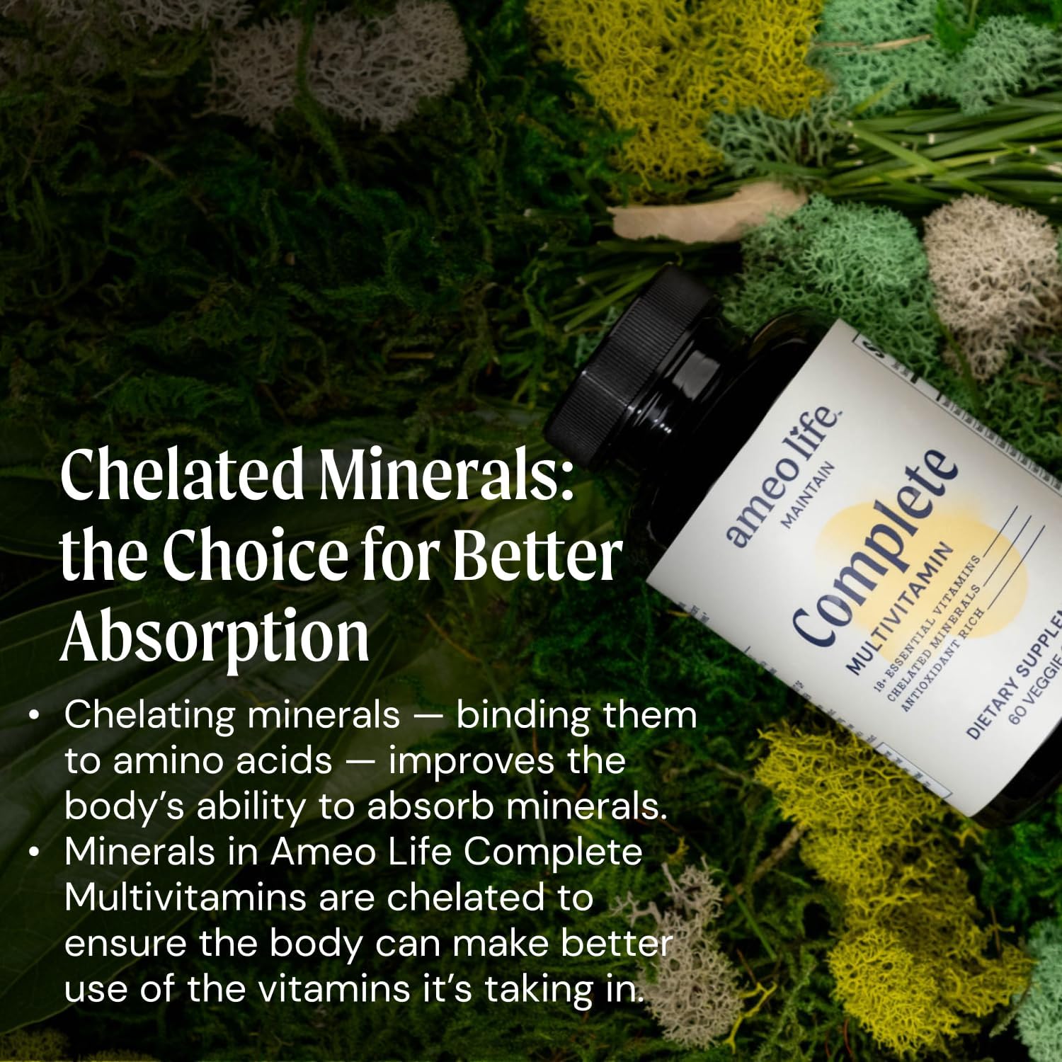 Chelated Multivitamin Supplement with Essential Nutrients for Adult Men and Women - 60 Capsules