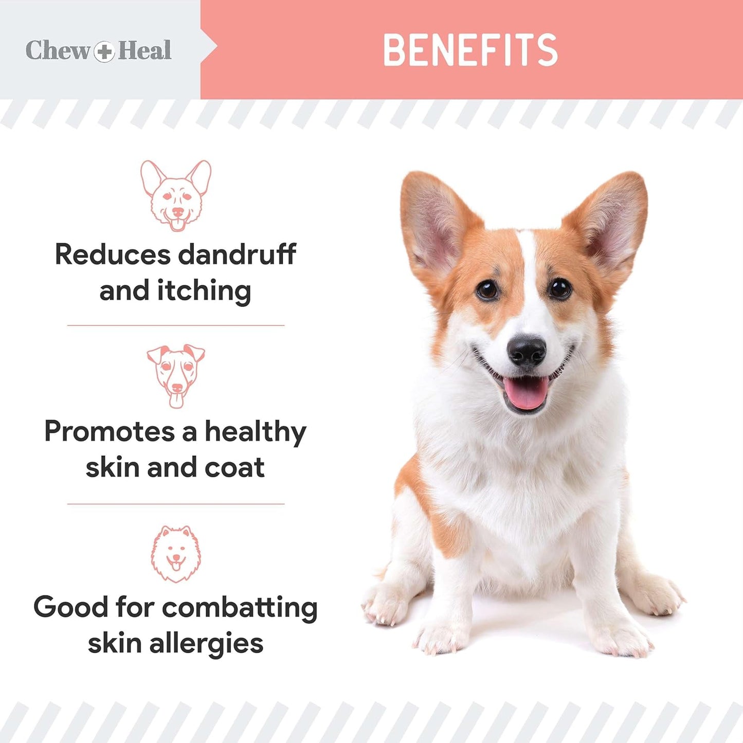Chew + Heal Labs Wild Alaskan Salmon Fish Oil for Dogs - 16 oz. Pump Cap Bottle with Omega-3, 6, Vitamin D, EPA, DHA for Healthy Skin & Coat