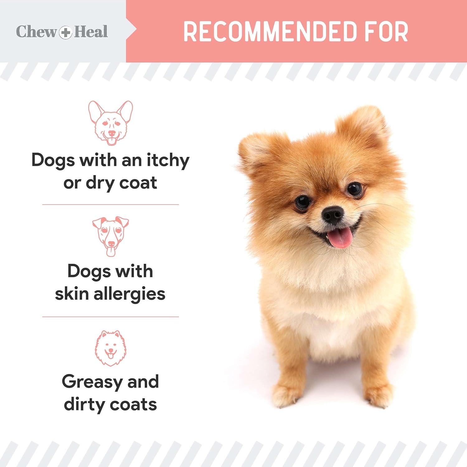 Chew + Heal Labs Wild Alaskan Salmon Fish Oil for Dogs - 16 oz. Pump Cap Bottle with Omega-3, 6, Vitamin D, EPA, DHA for Healthy Skin & Coat