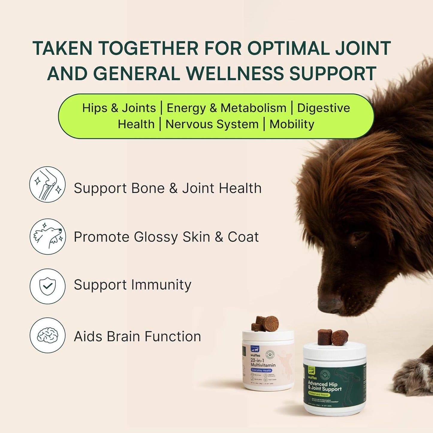 Chewable Dog Multivitamin Bundle for Small & Large Breeds - 2 Pack - 60 Count - Wuffes 23-in-1 Supplements