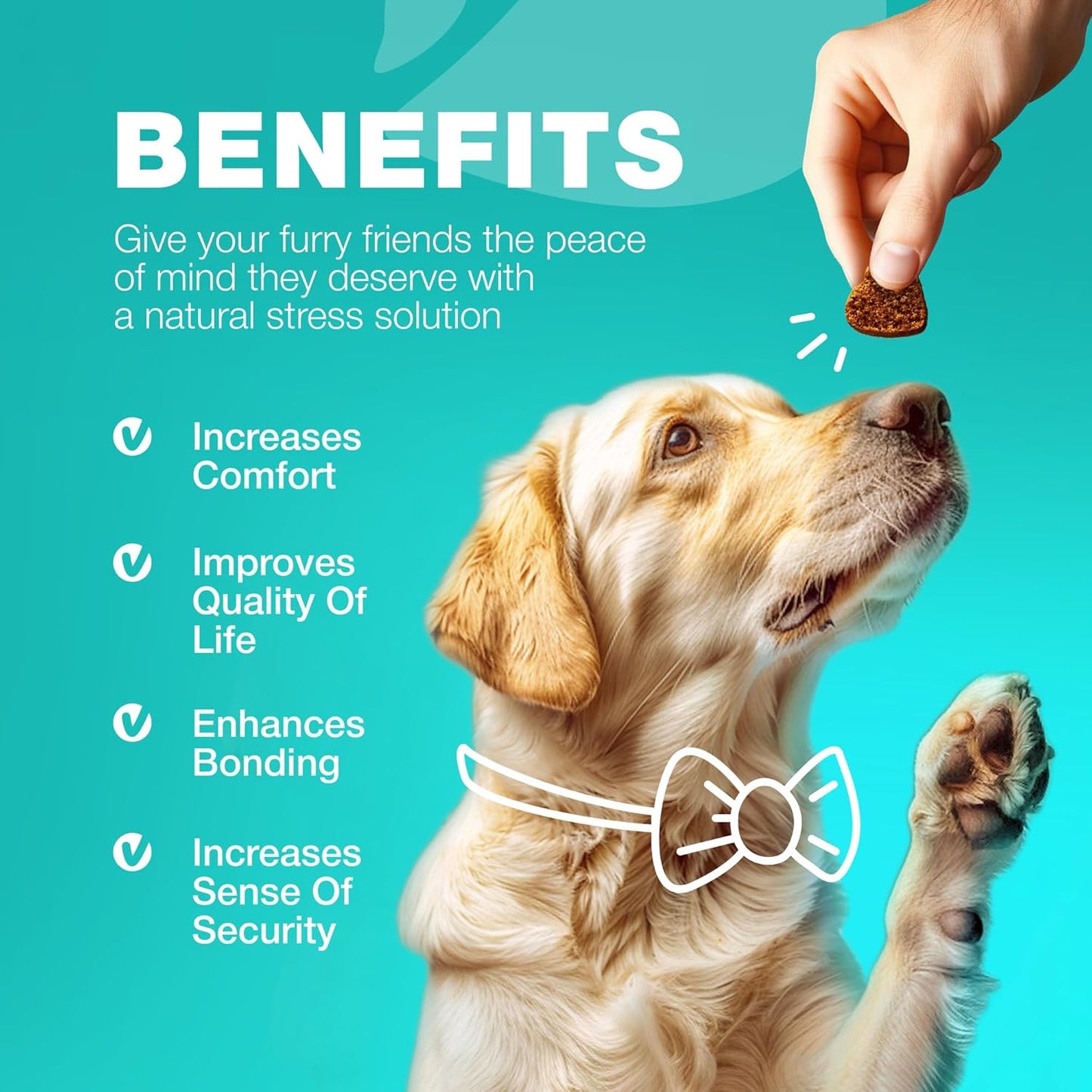 Chewable Probiotic Supplement for Dogs - Supports Digestion for All Breeds - Pet Supplies by CHEWIA
