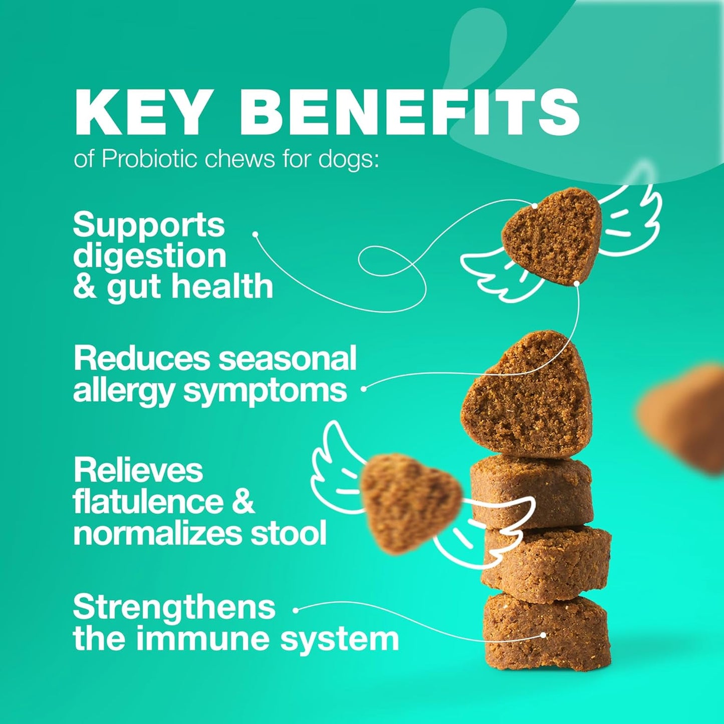 Chewable Probiotic Supplements for Dogs - Boost Gut Health, Immunity, Skin Health - Dog Probiotics with Digestive Enzymes - 180 Chews