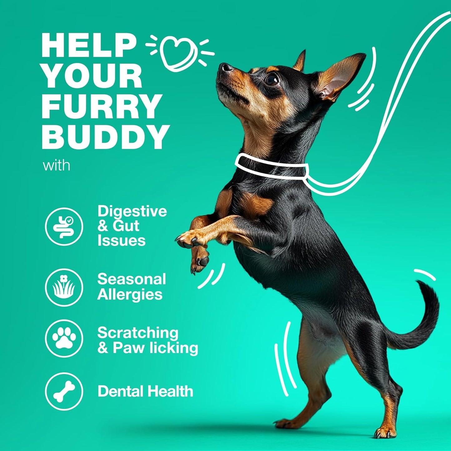 Chewable Probiotic Supplements for Dogs - Boost Gut Health, Immunity, Skin Health - Dog Probiotics with Digestive Enzymes - 180 Chews