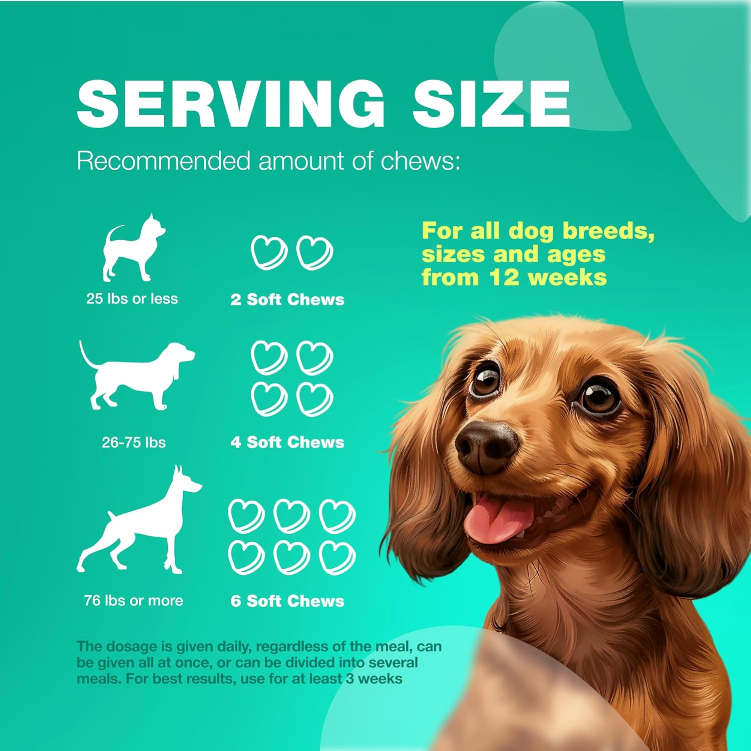 Chewable Probiotic Supplements for Dogs - Boost Gut Health, Immunity, Skin Health - Dog Probiotics with Digestive Enzymes - 180 Chews