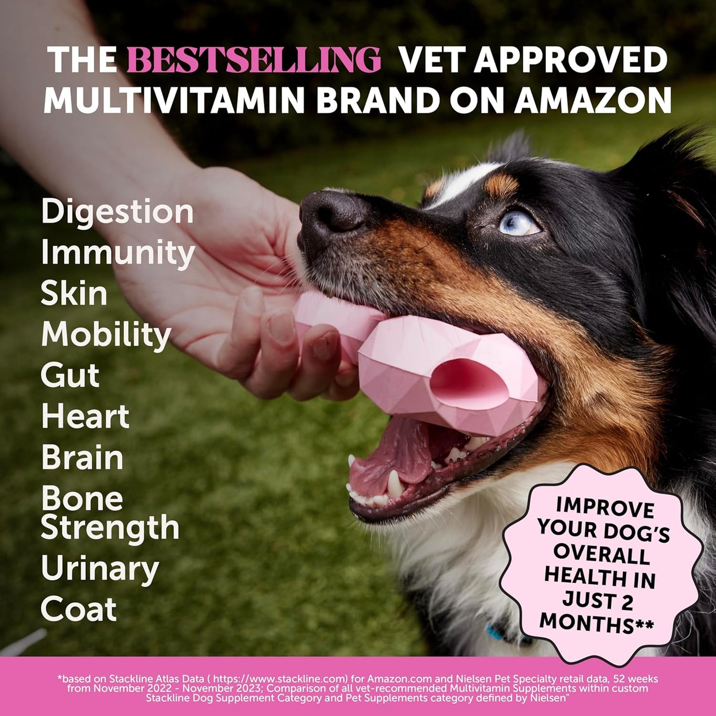 Chicken Flavored Dog Supplement with Glucosamine, Probiotics, Omega Fish Oil - 90 ct