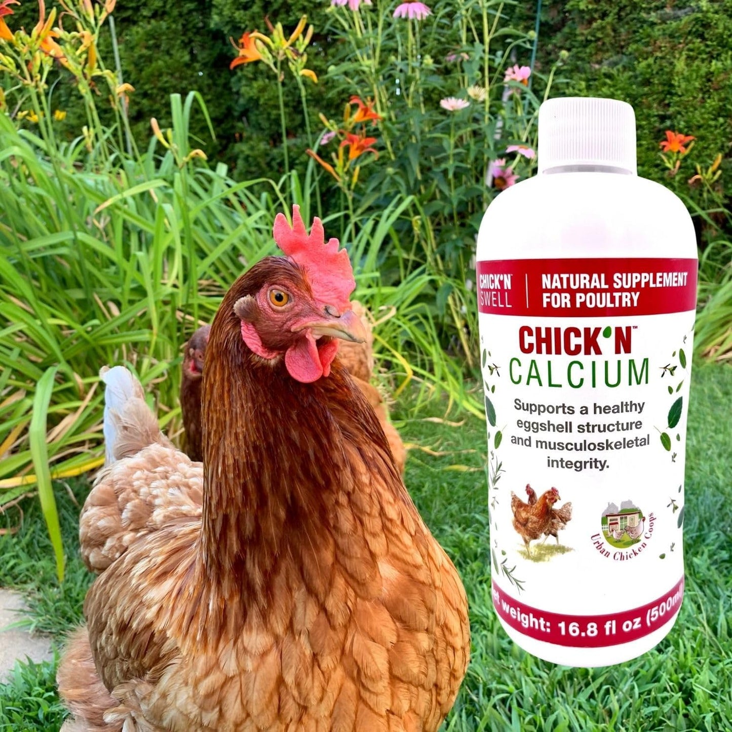 Chick’N Swell Premium Poultry Calcium Supplement for Bone Health and Egg Production - 16.8 oz - Suitable for All Poultry - Makes 80 Gallons